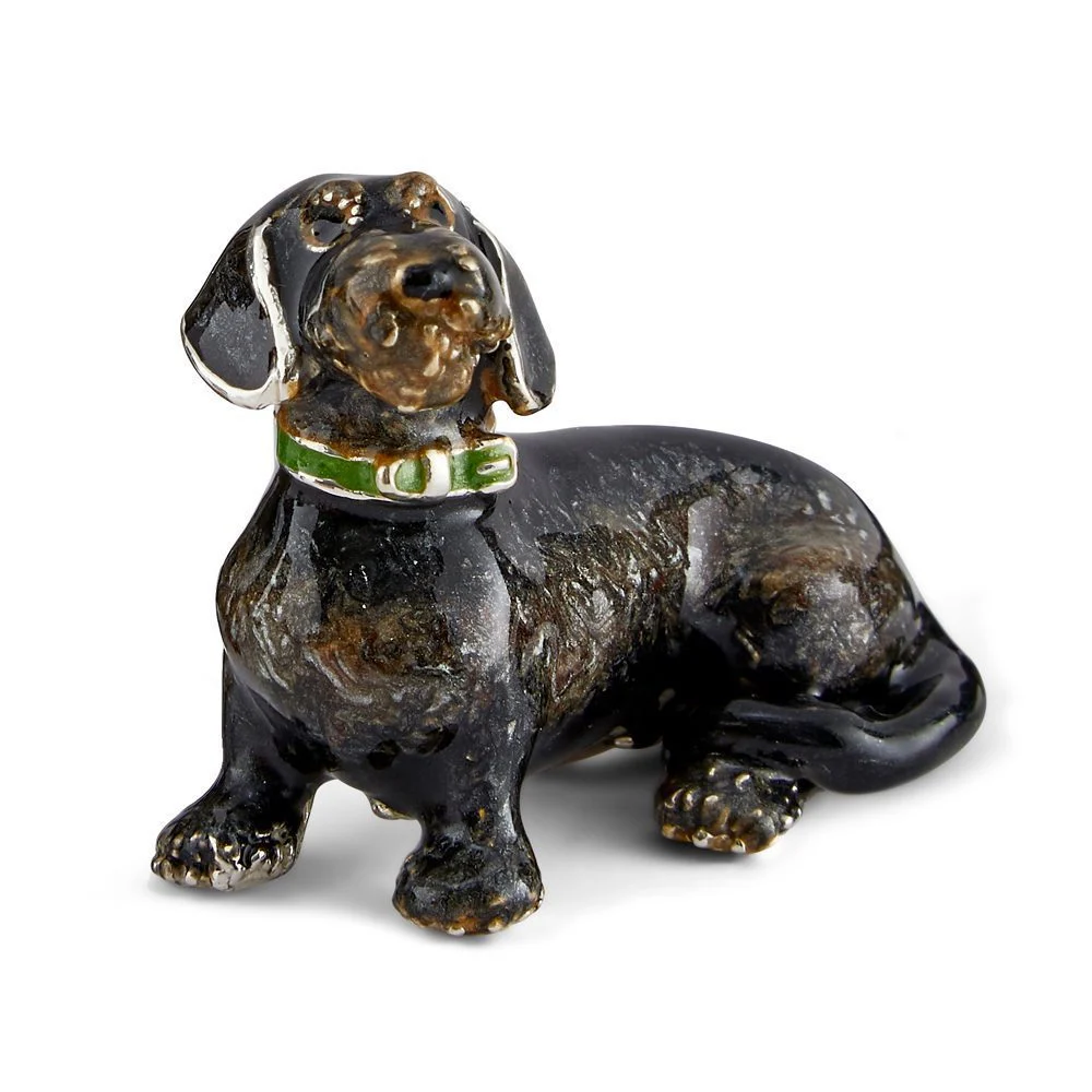 Rough Haired Dachshunds - Image 4