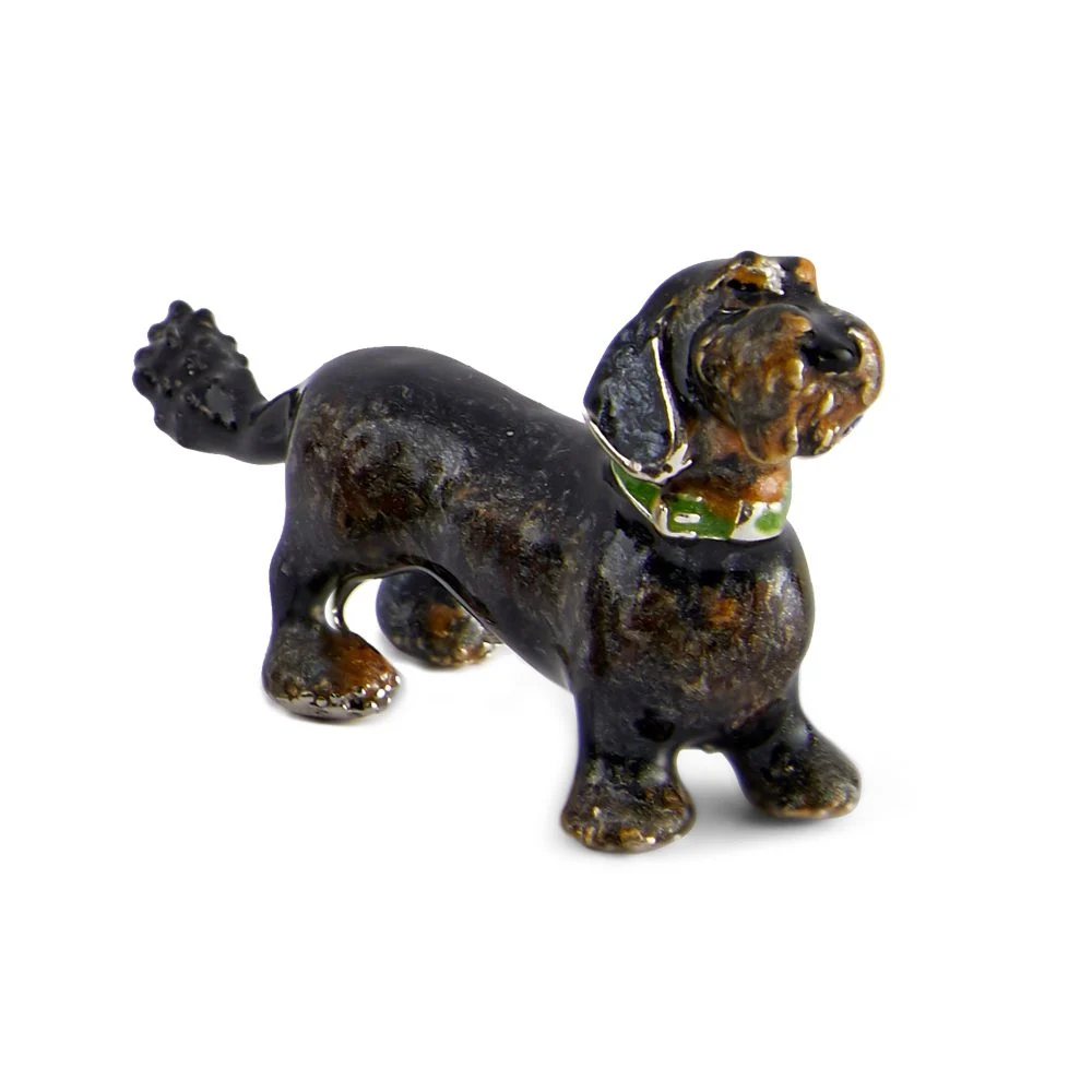 Rough Haired Dachshunds - Image 5