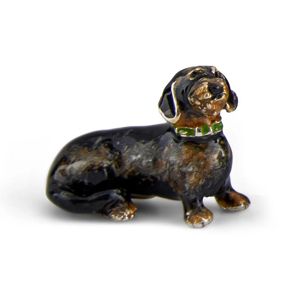 Rough Haired Dachshunds - Image 2