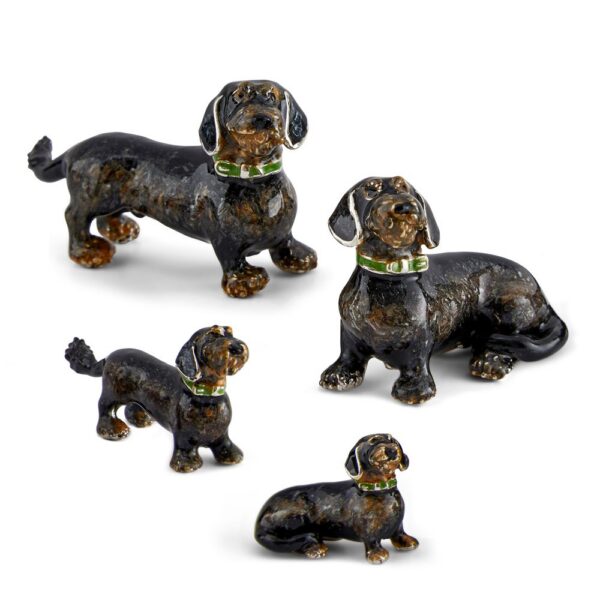 Rough Haired Dachshunds