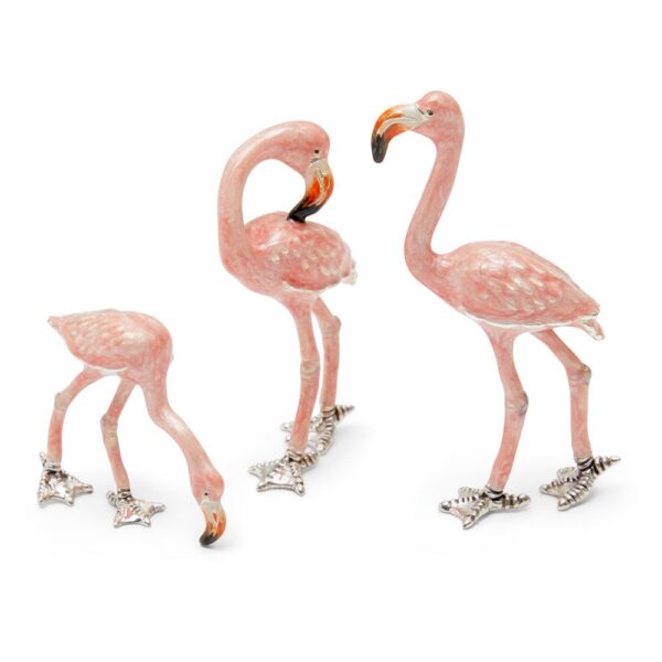 Pink flamingoes