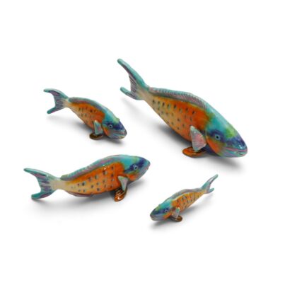 Parrotfish