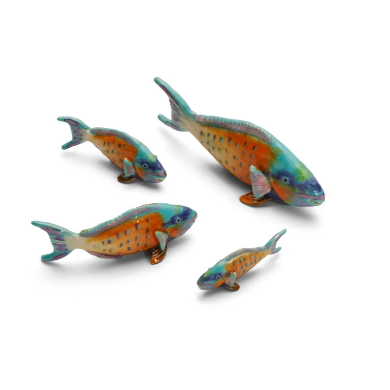 Parrotfish