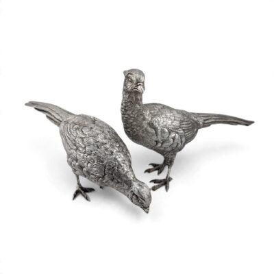 Pair of silver pheasants, one pecking at the ground and one standing alert