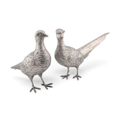Pair of silver pheasants standing side by side with long tails